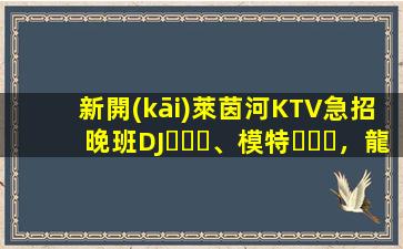 新開(kāi)萊茵河KTV急招晚班DJ、模特，龍姐在杭州帶你上班